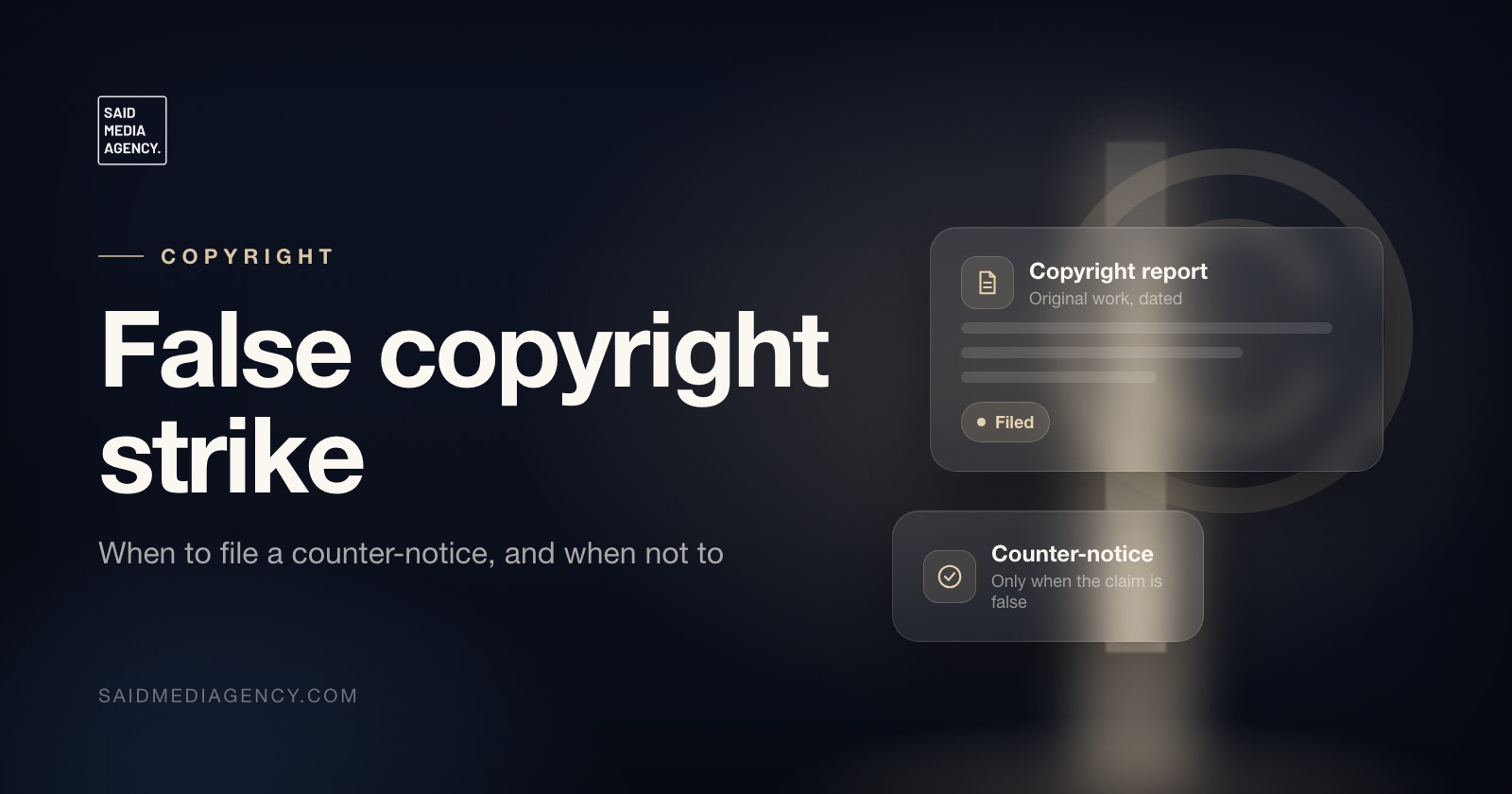 Said Media Agency guide cover: False copyright strike
