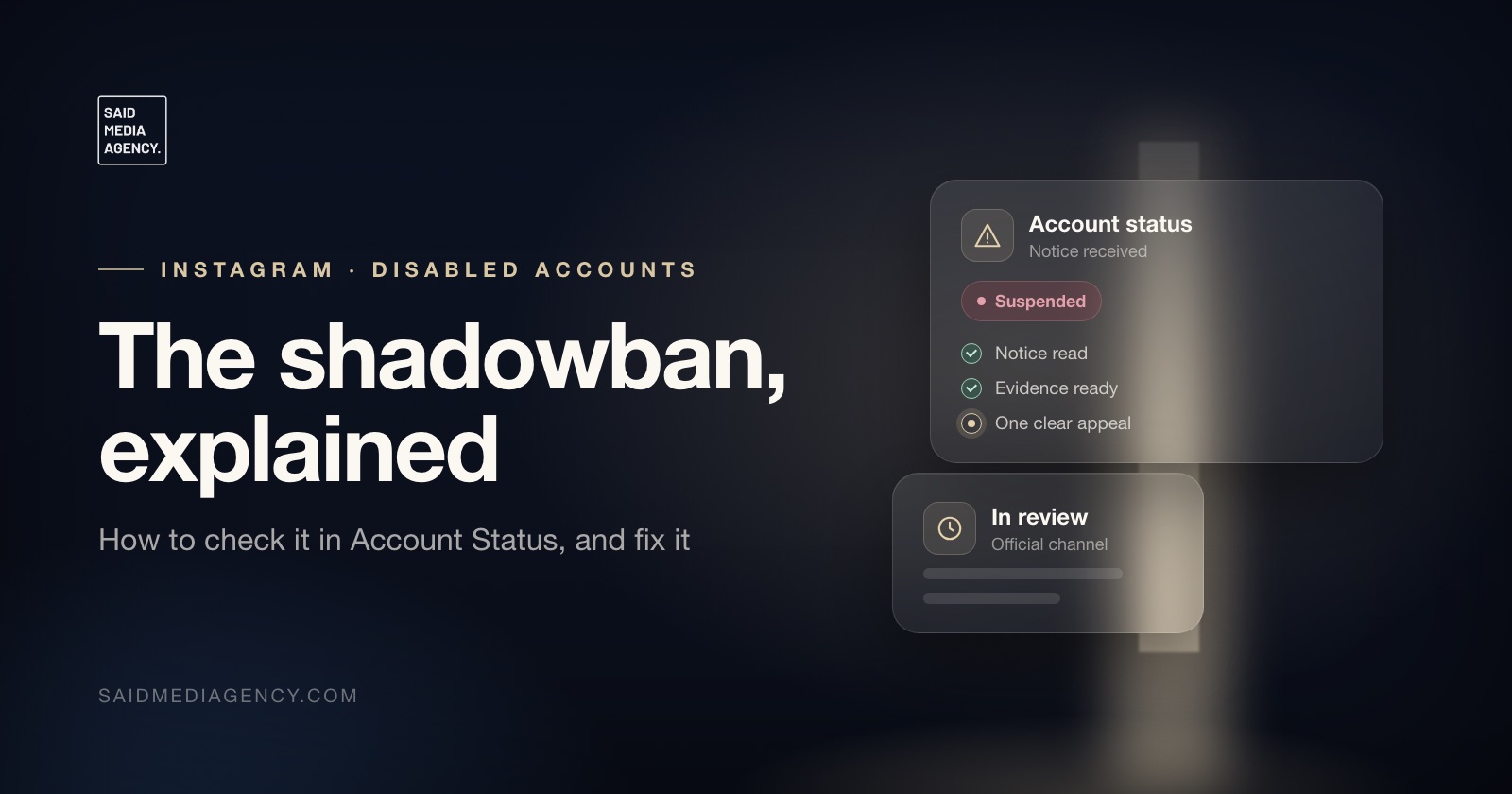 Said Media Agency guide cover: The shadowban, explained